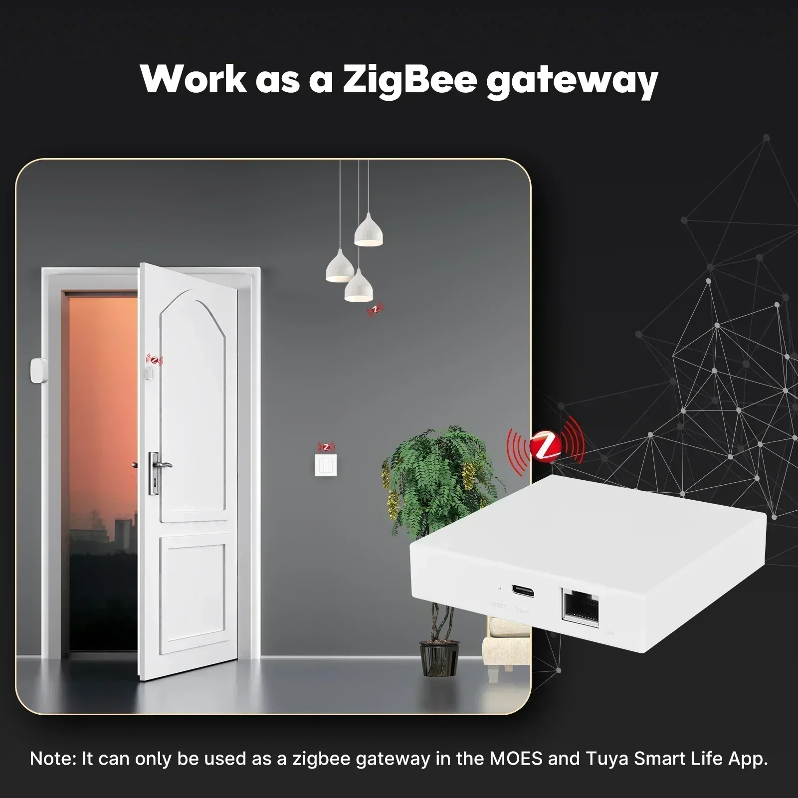 MOES Tuya Zigbee Matter Thread – обзор и цена Smart Home Living